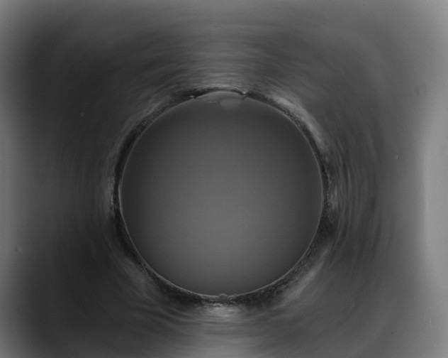 X0000088470585200705291550