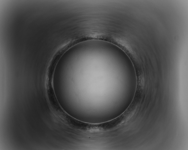 X0000088470587200705291550