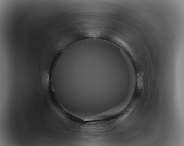 X0000088470589200705291550