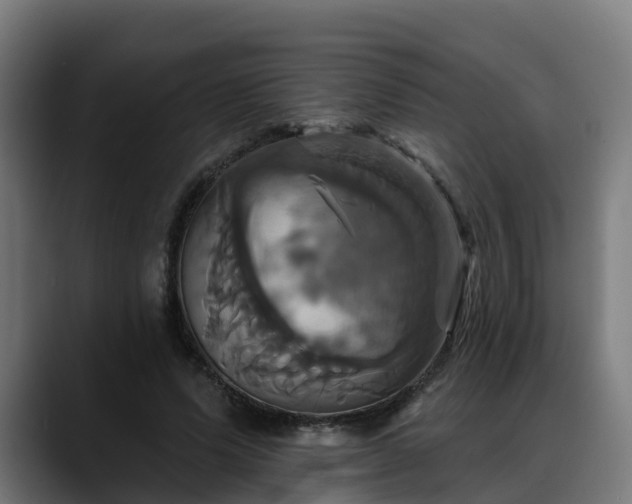 X0000088470591200705291550