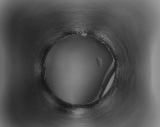 X0000088470593200705291550