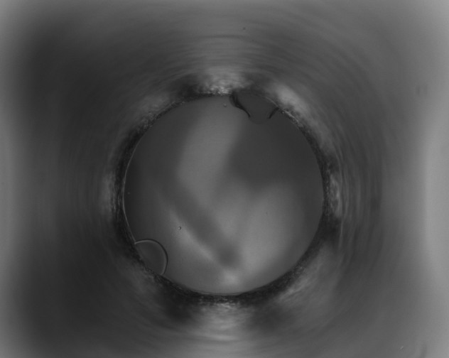 X0000088470594200705291550