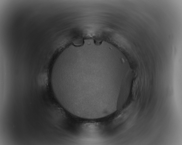 X0000088470595200705291550