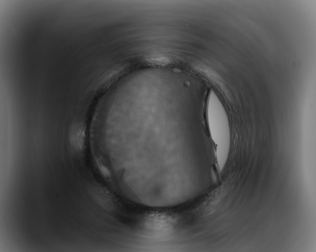 X0000088470596200705291550