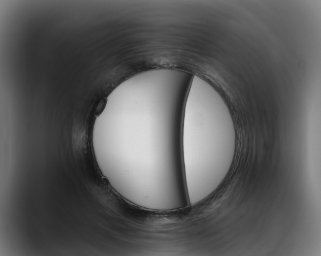 X0000088470597200705291550