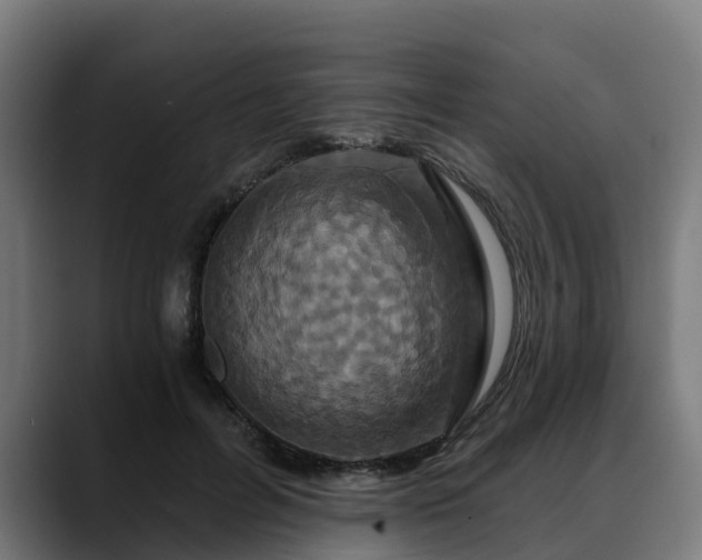 X0000088470600200705291550