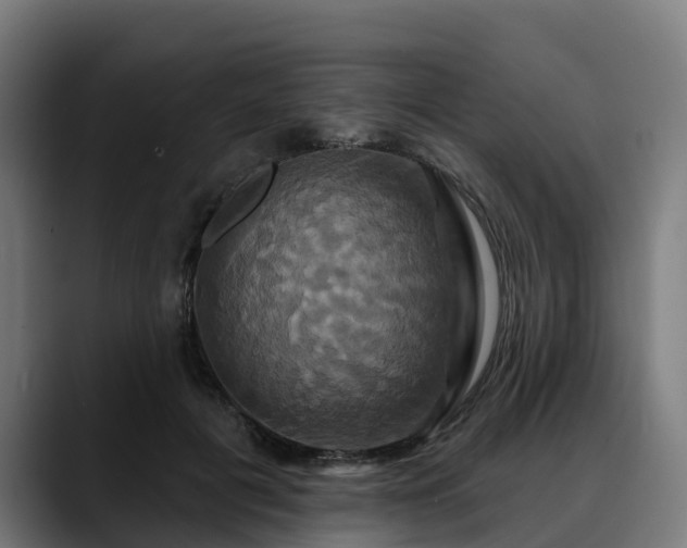 X0000088470601200705291550