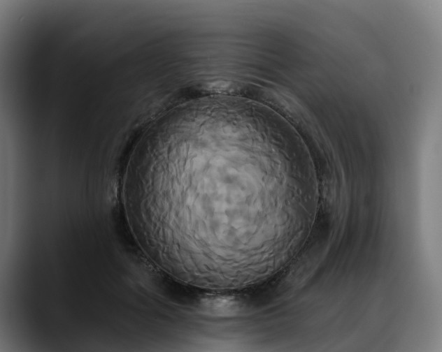 X0000088470602200705291550