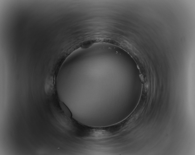 X0000088470605200705291550