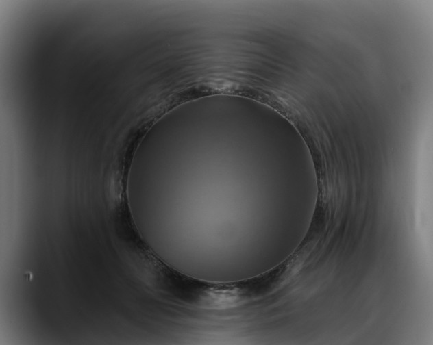 X0000088470606200705291550