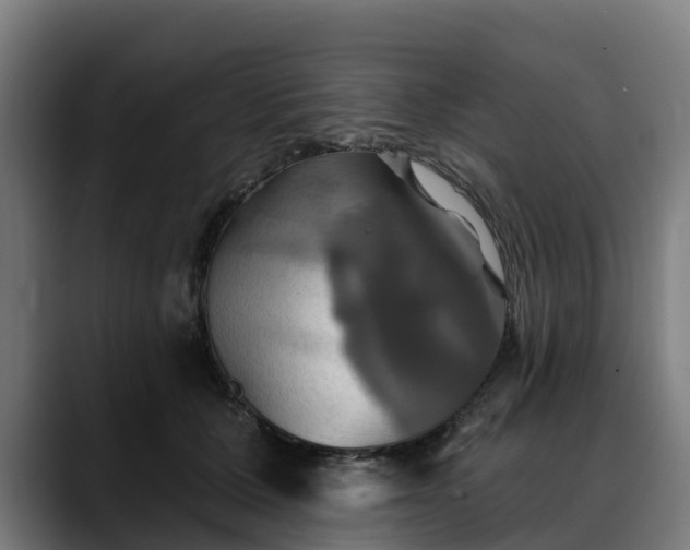 X0000088470607200705291550