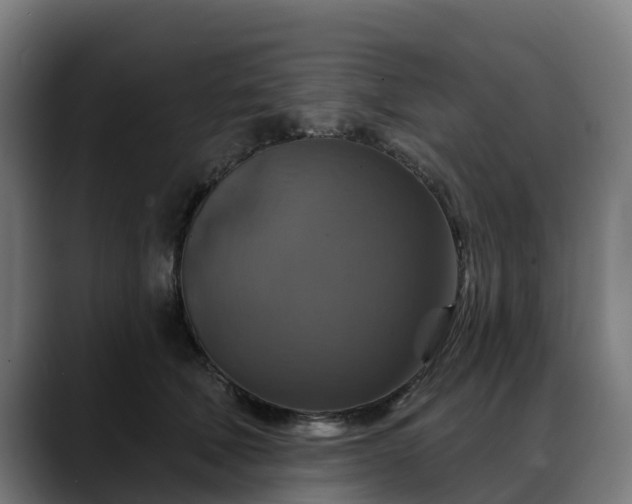 X0000088470610200705291550