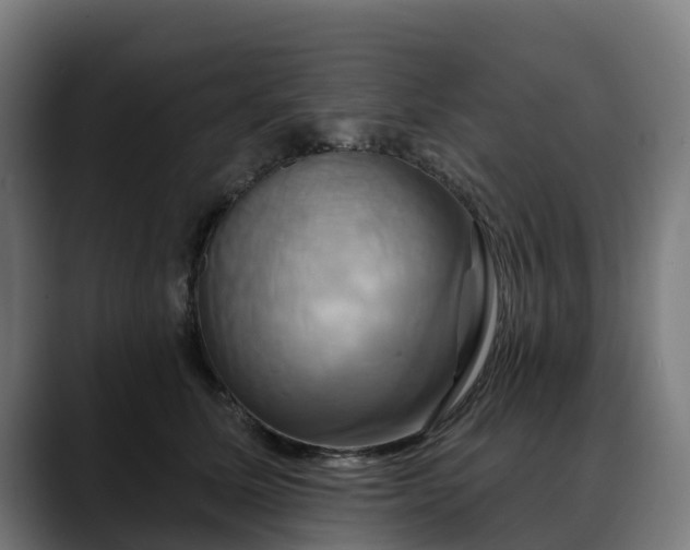 X0000088470611200705291550