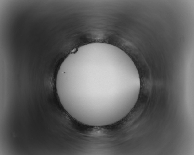 X0000088470612200705291550