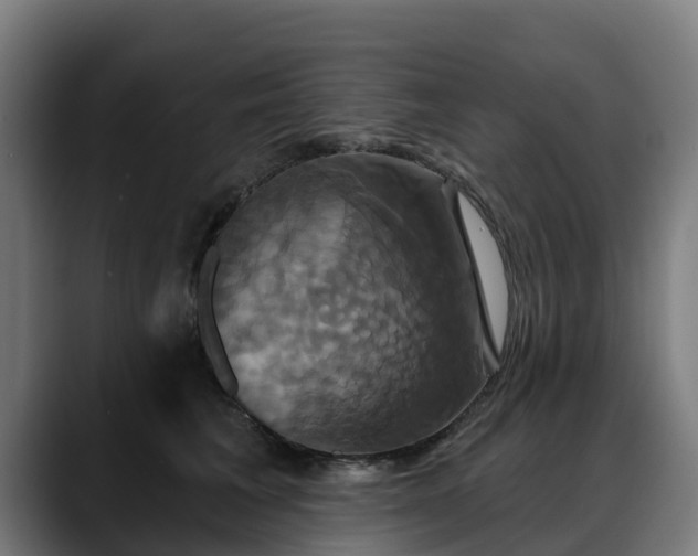 X0000088470613200705291550