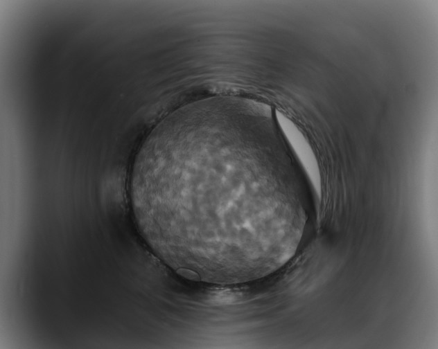 X0000088470616200705291550