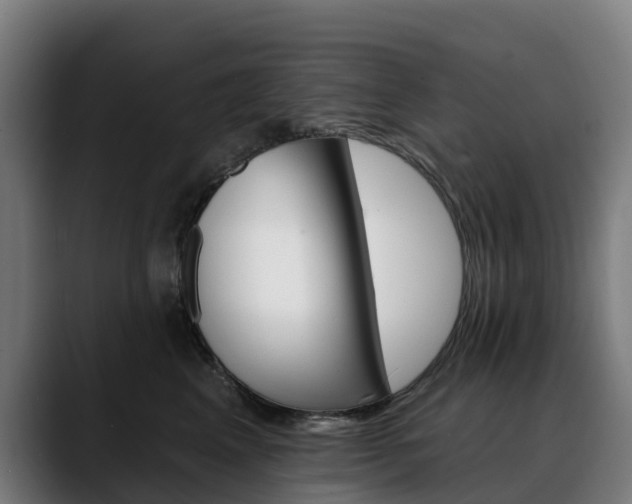 X0000088470617200705291550