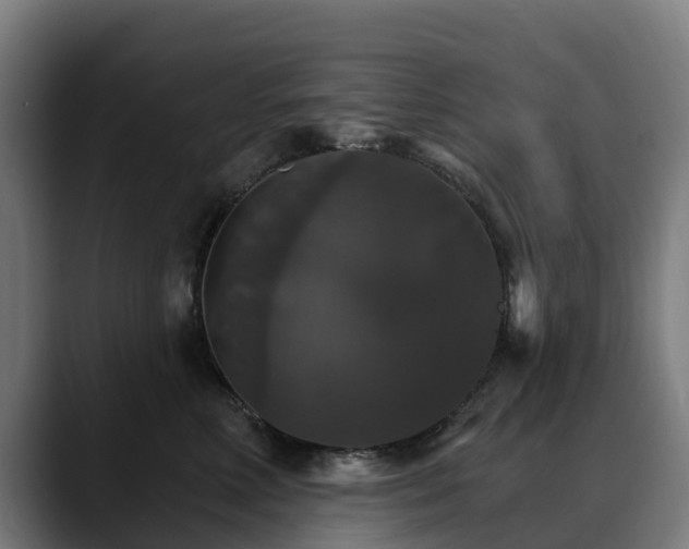 X0000088470618200705291550