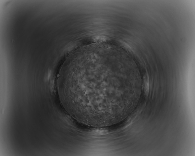 X0000088470619200705291550