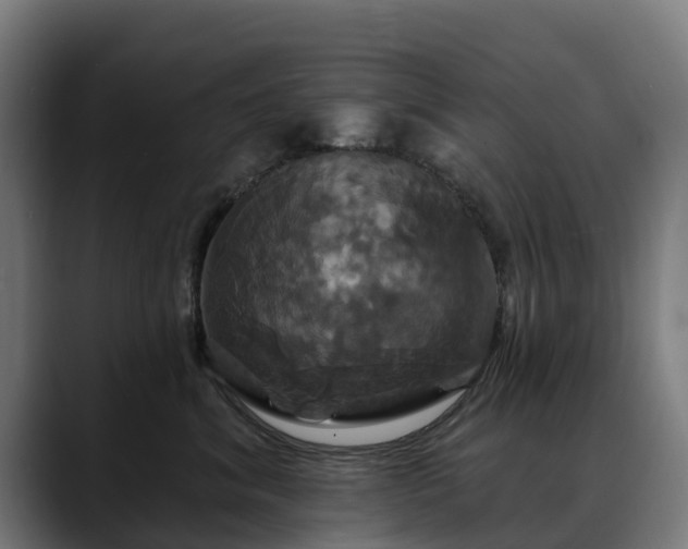 X0000088470620200705291550