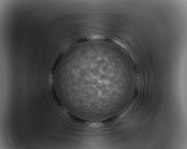 X0000088470621200705291550