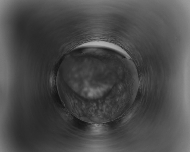 X0000088470623200705291550