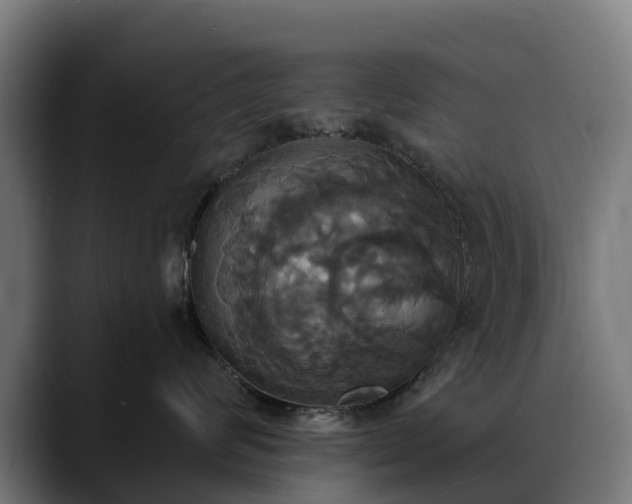 X0000088470624200705291550