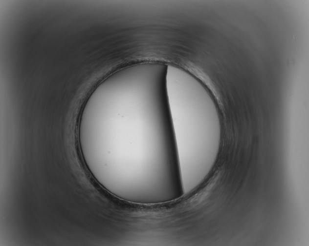 X0000088470625200705291549