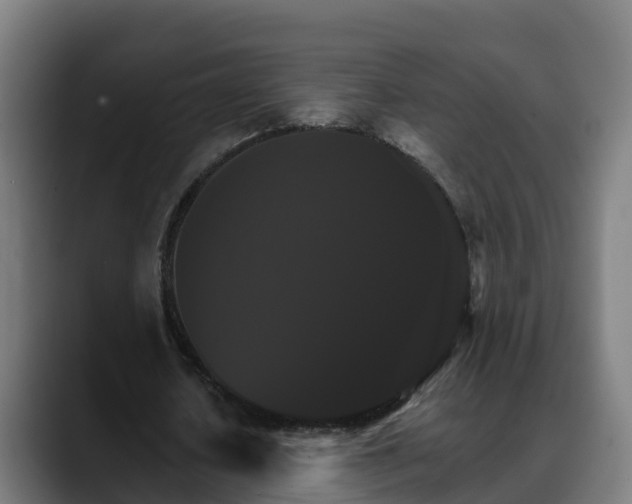 X0000088470626200705291549