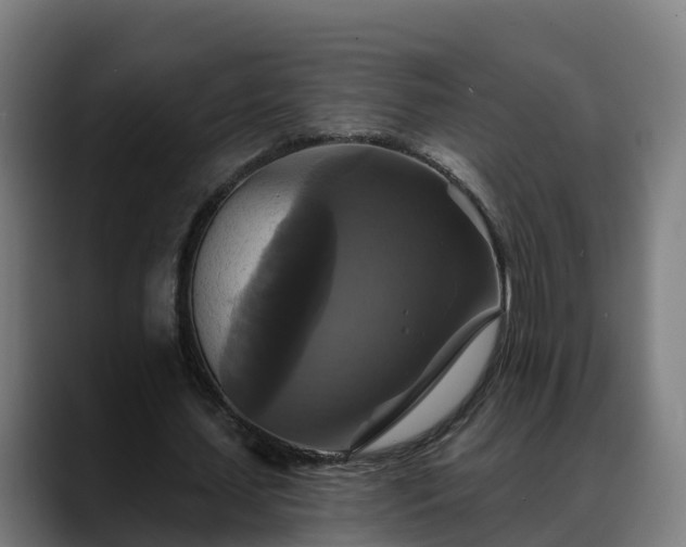 X0000088470627200705291549