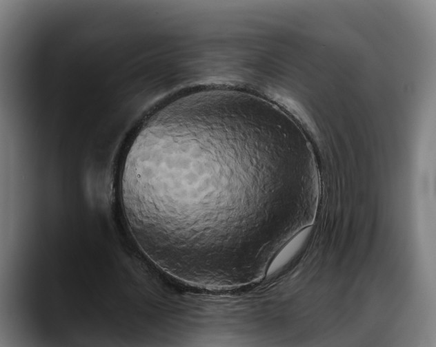 X0000088470628200705291549