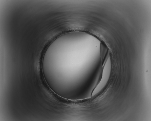 X0000088470629200705291549