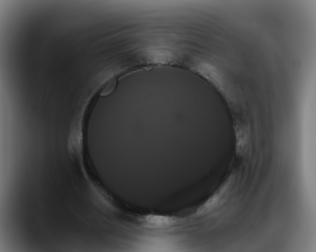 X0000088470630200705291549