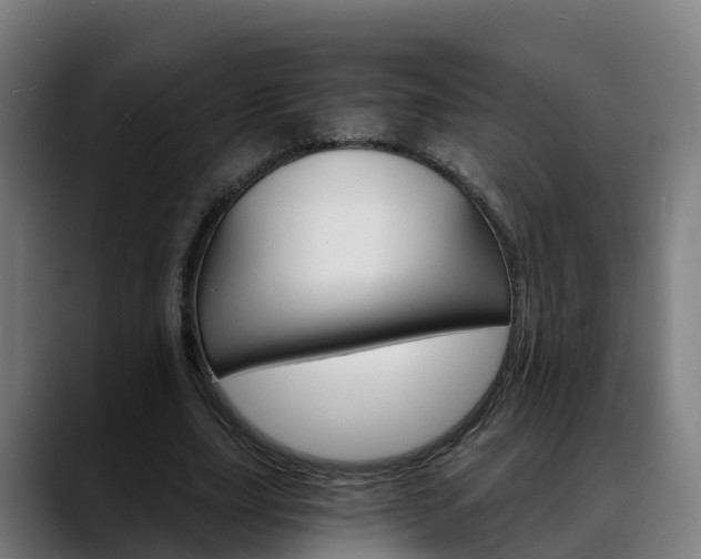 X0000088470631200705291549