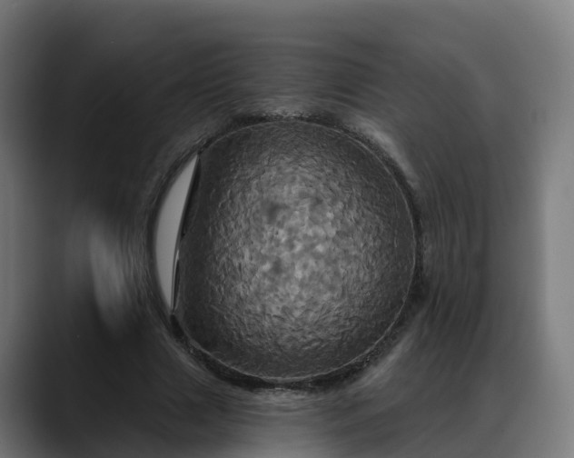 X0000088470633200705291549