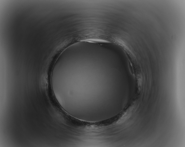 X0000088470634200705291549