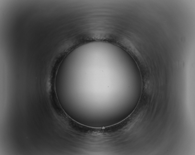 X0000088470635200705291549