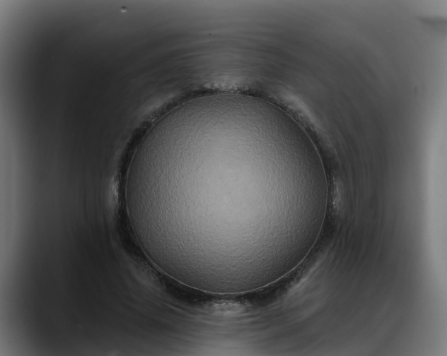 X0000088470636200705291549