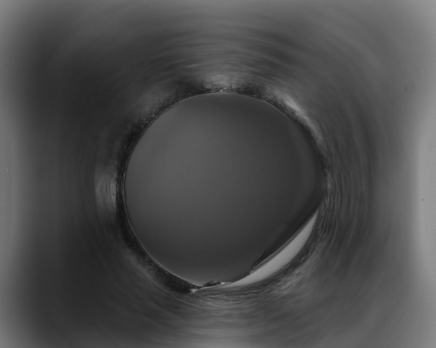 X0000088470637200705291549