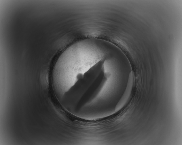 X0000088470638200705291549