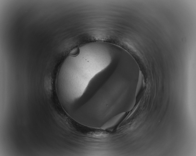 X0000088470639200705291549