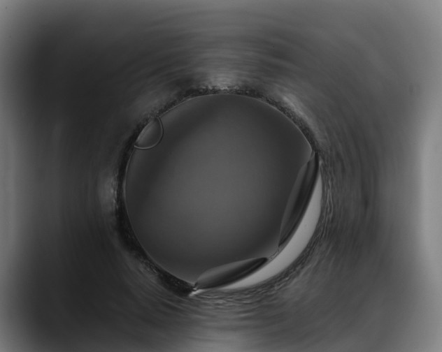 X0000088470640200705291549