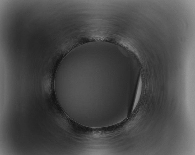 X0000088470641200705291549