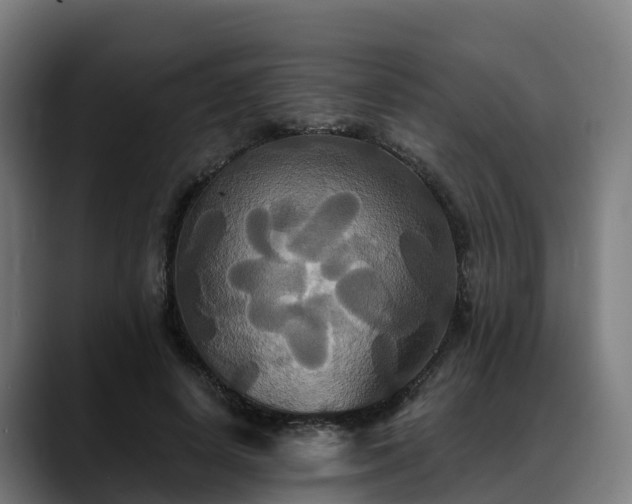 X0000088470642200705291549