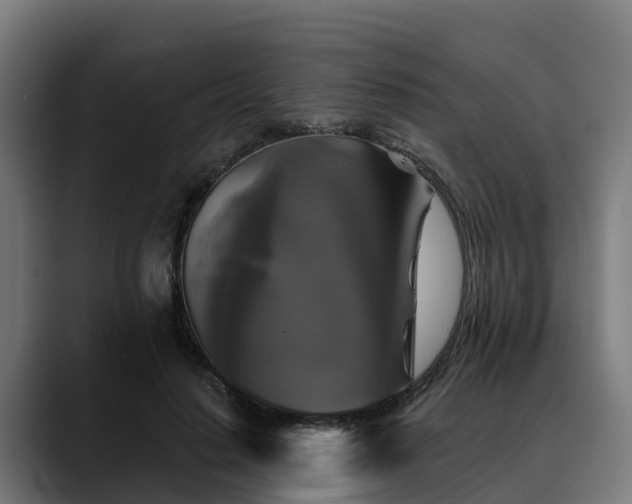 X0000088470644200705291549