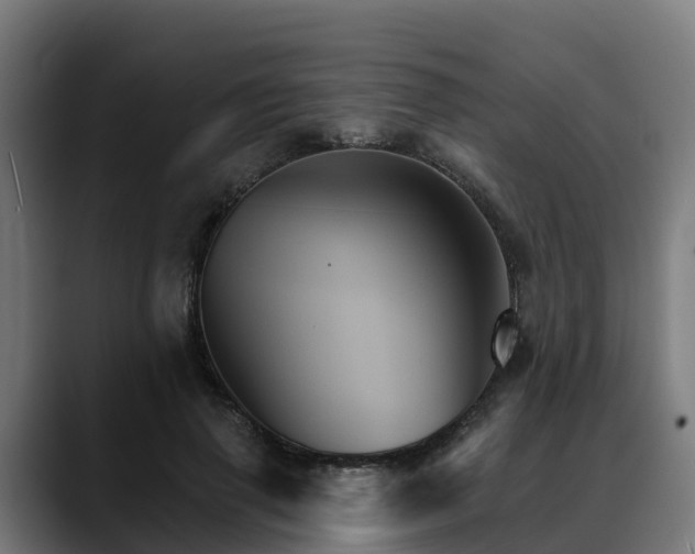 X0000088470645200705291549