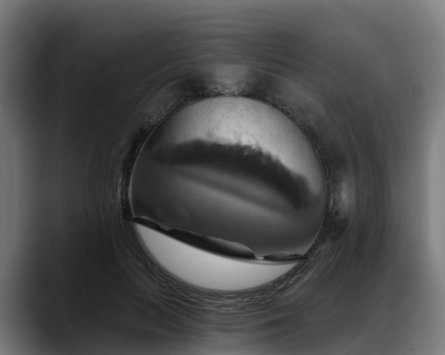 X0000088470647200705291549