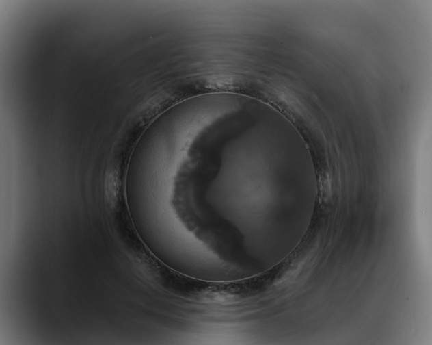 X0000088470648200705291549