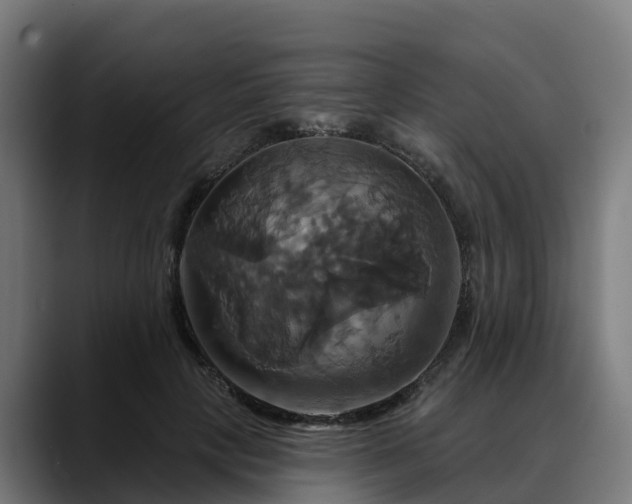 X0000088470649200705291549