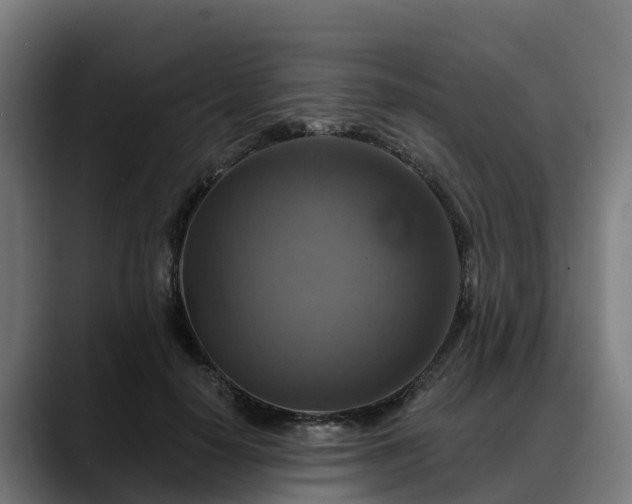 X0000088470650200705291550